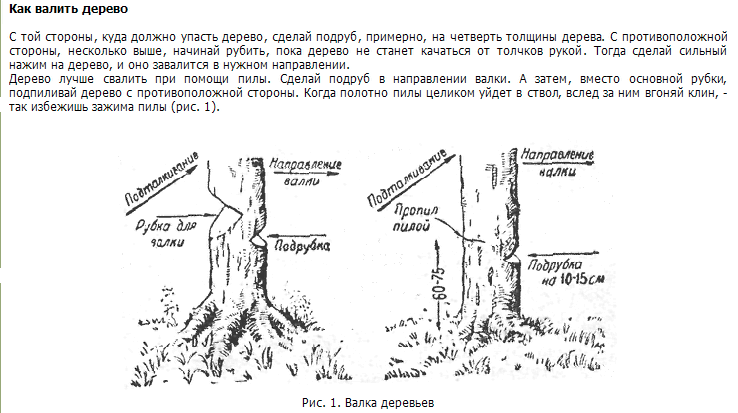 Схема спила дерева бензопилой