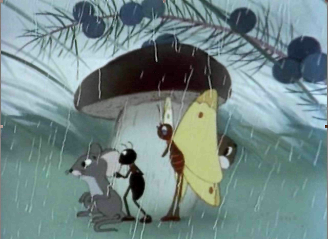 Приметы погоды | lemur59.ru